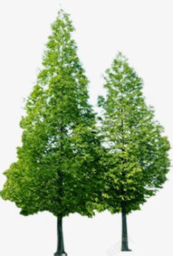 园林绿化环保树木素材
