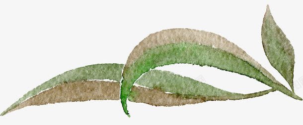 长条形叶子png免抠素材_88icon https://88icon.com PNG 叶子 树叶 水彩