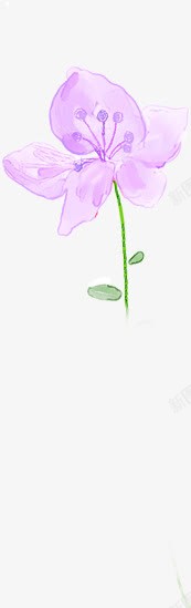 手绘紫色淡彩花卉素材
