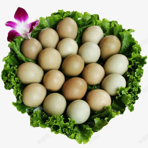 农家土鸡蛋png免抠素材_88icon https://88icon.com 土鸡蛋 植物 生菜 花朵 食物 鸡蛋