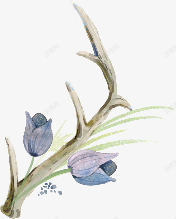 鹿角蓝色花卉png免抠素材_88icon https://88icon.com 植物 水彩植物 绿叶 花朵 蓝色花卉