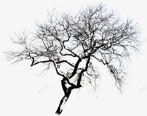 摄影环境渲染效果黑色的树木png免抠素材_88icon https://88icon.com 摄影 效果 树木 渲染 环境 黑色