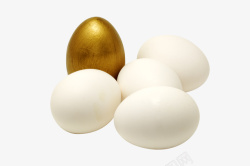 白蛋金蛋素材