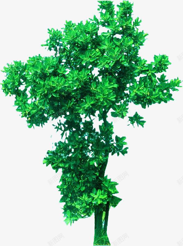 绿色植物环保宣传png免抠素材_88icon https://88icon.com 宣传 环保 绿色植物 设计