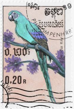 枝头鹦鹉邮票素材