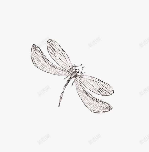唯美清新森系手绘蜻蜓png免抠素材_88icon https://88icon.com 唯美 手绘 森系 清新 蜻蜓