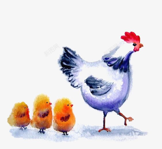 带着小鸡的母鸡png免抠素材_88icon https://88icon.com 动物 小鸡仔 手绘母鸡