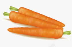 蔬菜胡萝卜矢量图素材