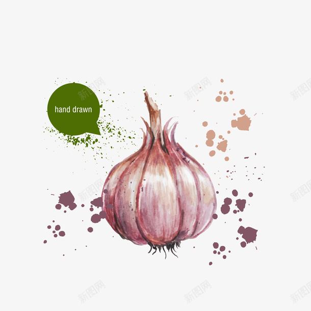手绘大蒜矢量图eps免抠素材_88icon https://88icon.com EPS免抠 大蒜 手绘 矢量图免抠 蔬菜 高清免抠 矢量图