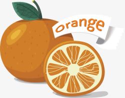 卡通手绘水果橘子矢量图素材