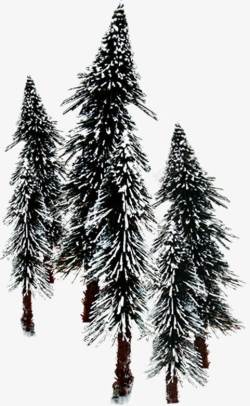 冬季树木喜迎圣诞素材