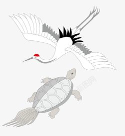 鳄龟送子鹤和鳄龟高清图片