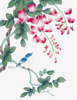 蹄叫的喜鹊花下的喜鹊高清图片