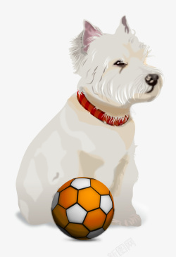 狗狗玩足球矢量图素材