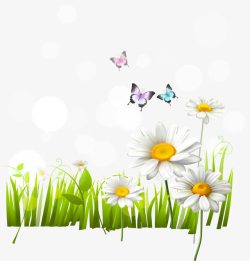 小雏菊蝴蝶素材