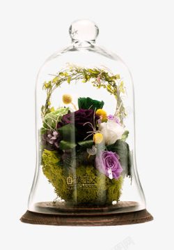 合成创意瓶子花卉素材