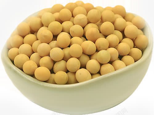 黄豆容器食物png免抠素材_88icon https://88icon.com 容器 食物 黄豆