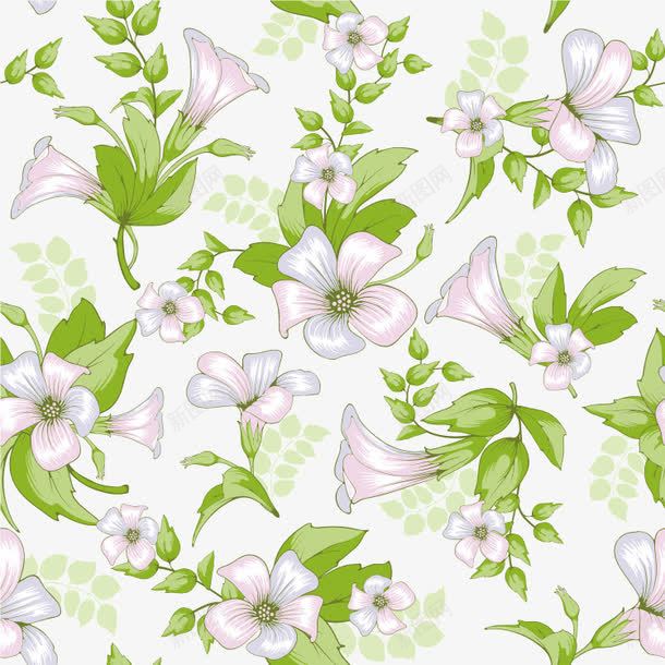 牵牛花背景png免抠素材_88icon https://88icon.com 叶子 牵牛花 花卉 花朵