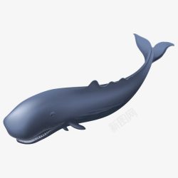 卡通鲸鱼矢量图素材