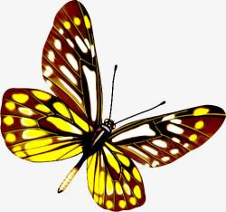 黄色斑点手绘蝴蝶素材