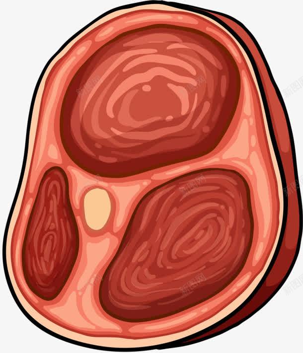 好吃的腊肉png免抠素材_88icon https://88icon.com 手绘 红色 腊肉 逼真