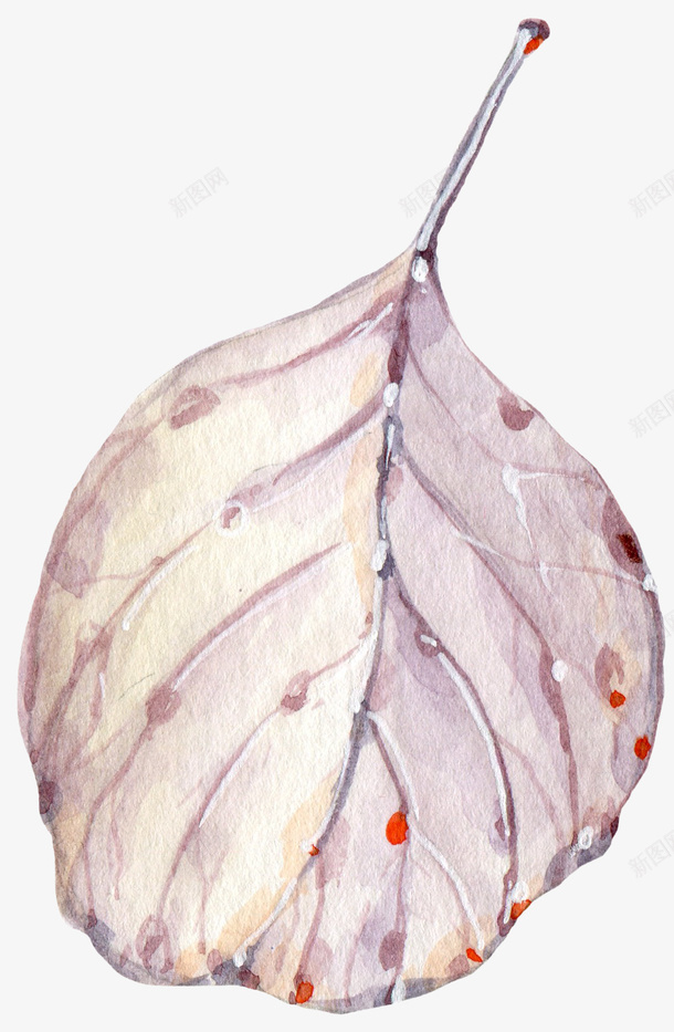 树叶上的纹理png免抠素材_88icon https://88icon.com png图形 png装饰 树叶 植物 纹理 装饰