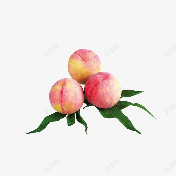 好吃的桃子png免抠素材_88icon https://88icon.com 果实 桃子 水果 蔬菜 食物