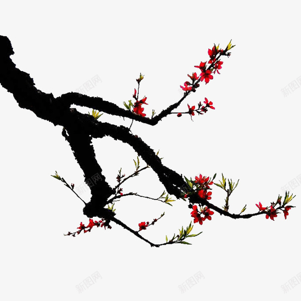 水墨画梅花图png免抠素材_88icon https://88icon.com 梅花图 水墨画 绘画