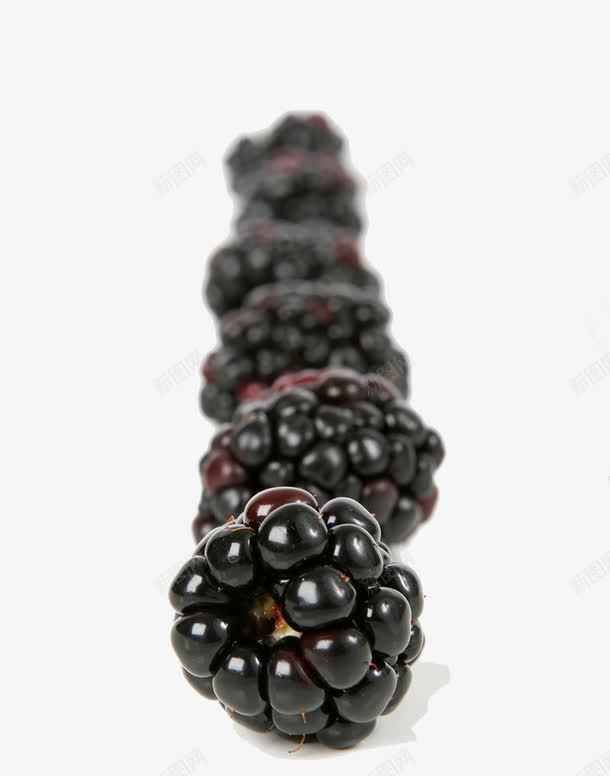 排着整齐的黑莓png免抠素材_88icon https://88icon.com 整齐 果实 黑莓
