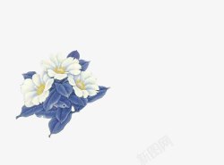 白色花朵蓝色树叶素材