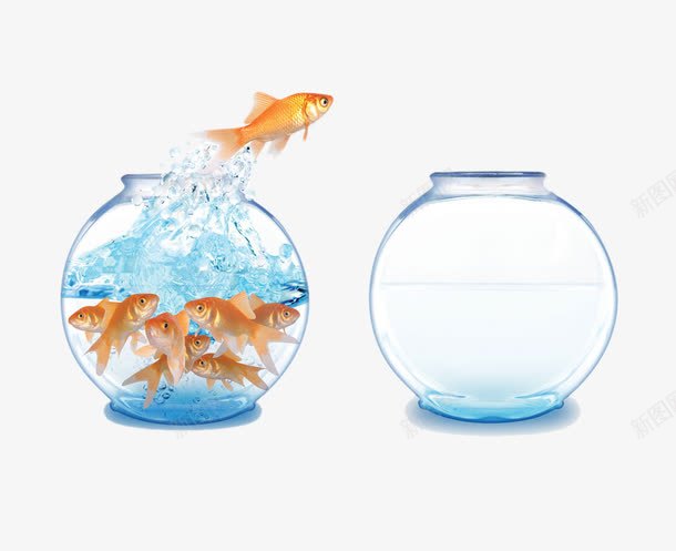 跳出鱼缸的金鱼png免抠素材_88icon https://88icon.com 创意 玻璃鱼缸 跳出 金鱼 鱼缸