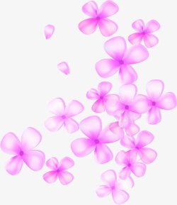 粉色花朵减肥食谱素材
