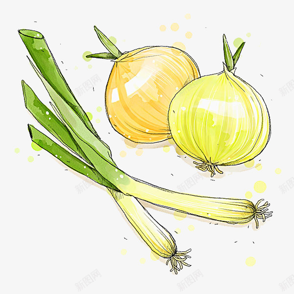 蔬菜葱类png免抠素材_88icon https://88icon.com 做菜 圆形葱 手绘图 插图 洋葱 葱 蔬菜 长形葱
