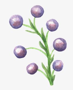 清新森系水彩紫色小果子素材