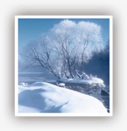 冬日白雪美景景观素材