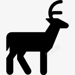 驯鹿deer图标图标