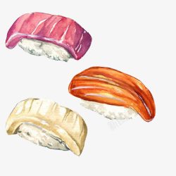 生鱼片寿司手绘画片素材