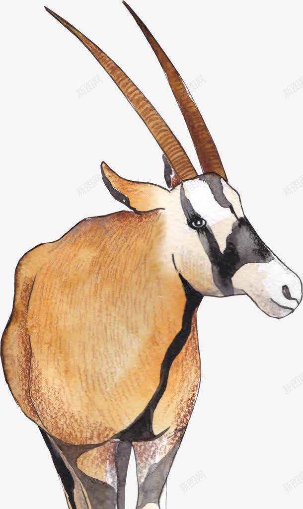 一只羚羊png免抠素材_88icon https://88icon.com png图形 动物 绵羊 羚羊 装饰