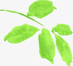 手绘清新夏季水彩绿色树叶素材