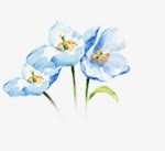 植物卡通蓝色花朵海报素材