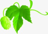 手绘绿叶美景装饰边框png免抠素材_88icon https://88icon.com 绿叶 美景 装饰 边框
