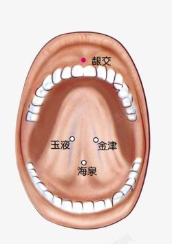 人体口腔正面舌头穴位分布素材