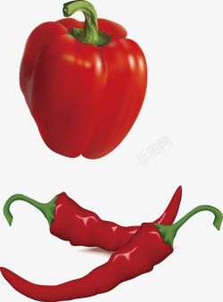 创意蔬菜类红椒图矢量图素材