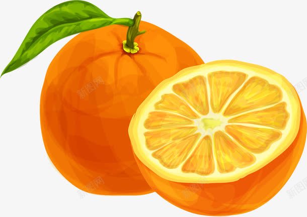 金橘色橙子png免抠素材_88icon https://88icon.com 橙子 水果 矢量素材 脐橙 补充营养