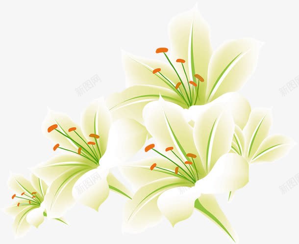 手绘白色花朵美景节日png免抠素材_88icon https://88icon.com 白色 美景 节日 花朵