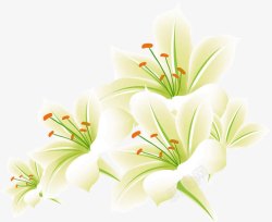 手绘白色花朵美景节日素材