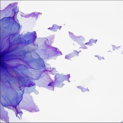 梦幻紫色花朵透明背景素材