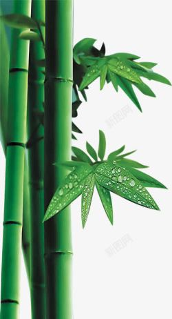 手绘绿色清新竹叶海报装饰素材