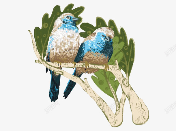 树枝上的两只鸟png免抠素材_88icon https://88icon.com 两只鸟 小鸟 春天 树枝 绿叶 蓝色的鸟