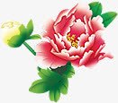 中秋节手绘彩色九月菊素材